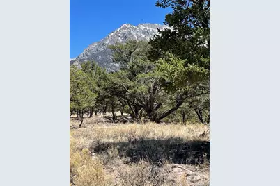 1153 Badger Road, Crestone, CO 81131 - Photo 4