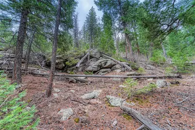 33864 Bergen View Trail, Evergreen, CO 80439 - Photo 18