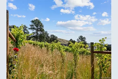 1044 S Grapevine Road, Golden, CO 80401 - Photo 40
