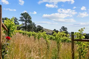 1044 S Grapevine Rd, Golden, CO 80401 - Photo 40