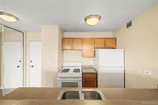 1196 N Grant Street, Denver, CO 80203 - Photo 16