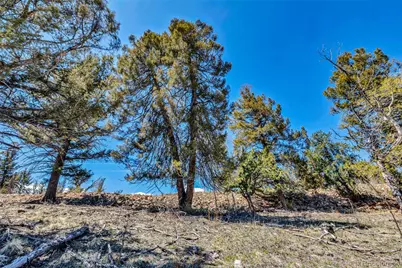 5544 Middle Fork Vista, Fairplay, CO 80420 - Photo 42