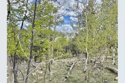5544 Middle Fork Vista, Fairplay, CO 80420 - Photo 20