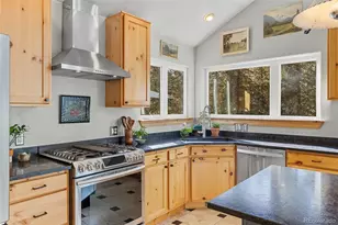 32663 Donna Dr, Conifer, CO 80433 - Photo 24