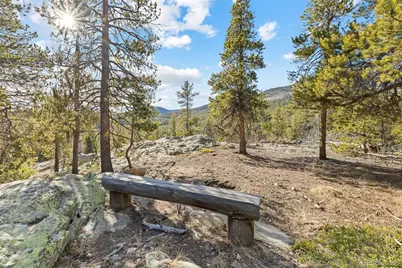 32663 Donna Drive, Conifer, CO 80433 - Photo 14