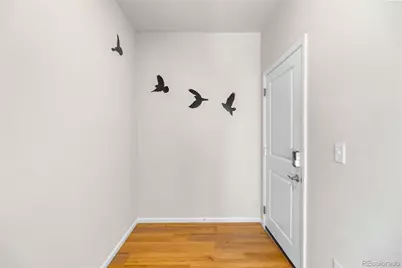 4505 Cholla Trail, Castle Rock, CO 80104 - Photo 16