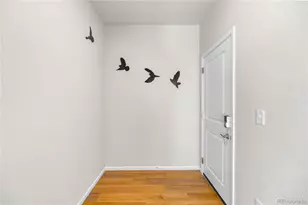 4505 Cholla Trl, Castle Rock, CO 80104 - Photo 16