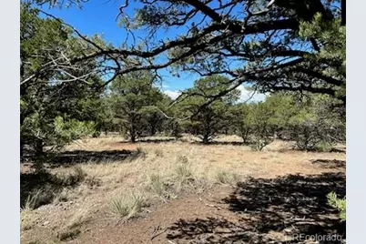 616 Panorama Way, Crestone, CO 81131 - Photo 10