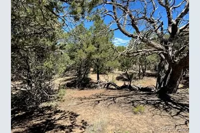 616 Panorama Way, Crestone, CO 81131 - Photo 12