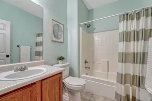 12482 S Bellisario Creek Ct, Parker, CO 80134 - Photo 16