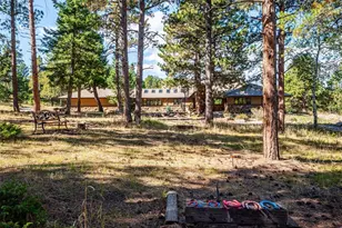 22284 N Turkey Creek Rd, Morrison, CO 80465 - Photo 4