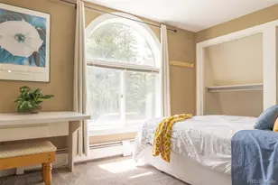 291 Doris Dr, Breckenridge, CO 80424 - Photo 12