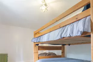 291 Doris Dr, Breckenridge, CO 80424 - Photo 22