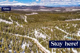 526 Porcupine Rd, Fairplay, CO 80440 - Photo 42