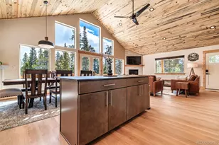 526 Porcupine Rd, Fairplay, CO 80440 - Photo 14