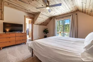 526 Porcupine Rd, Fairplay, CO 80440 - Photo 24