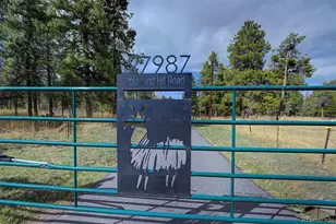 27987 Richmond Hill Rd, Conifer, CO 80433 - Photo 4