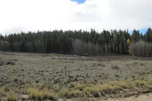 491 Longbow Dr, Como, CO 80456 - Photo 1
