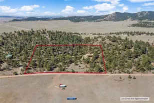 2120 Oxford Dr, Hartsel, CO 80449 - Photo 4