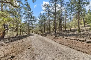 2120 Oxford Dr, Hartsel, CO 80449 - Photo 22