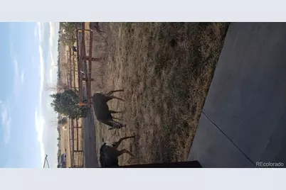 13490 Halleluiah Trail, Elbert, CO 80106 - Photo 48