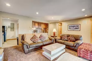 145 Gold Run Cir, Dillon, CO 80435 - Photo 24