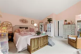 6848 N Trailway Circle, Parker, CO 80134 - Photo 20