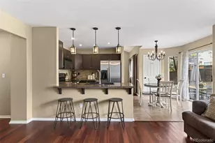 10209 Woodrose Ct, Highlands Ranch, CO 80129 - Photo 12