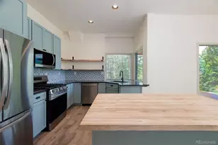 33510 Puma Crst, Evergreen, CO 80439 - Photo 34