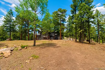 33510 Puma Crest, Evergreen, CO 80439 - Photo 46