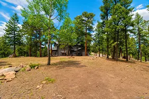 33510 Puma Crst, Evergreen, CO 80439 - Photo 46