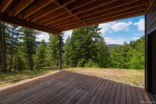 33510 Puma Crst, Evergreen, CO 80439 - Photo 38