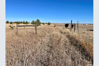 Parcel A County Road 98, Elbert, CO 80106 - Photo 2