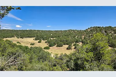 7 La Veta Pines Ranches, Walsenburg, CO 81089 - Photo 4