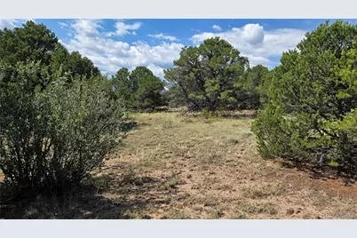 7 La Veta Pines Ranches, Walsenburg, CO 81089 - Photo 10