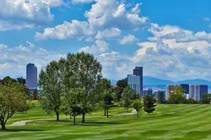2865 Hudson St, Denver, CO 80207 - Photo 42