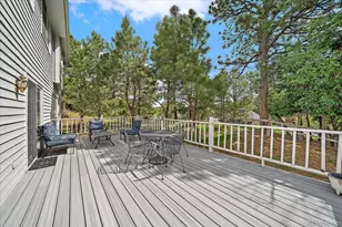 6204 Northstar Ridge Ln, Parker, CO 80134 - Photo 30