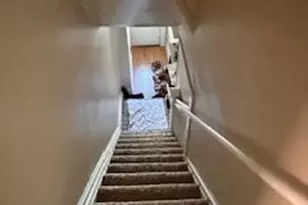 1231 N Lafayette St, Denver, CO 80218 - Photo 26