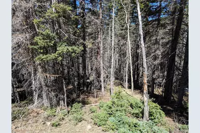 2767-2769 Purnell Lane, Fort Garland, CO 81133 - Photo 10