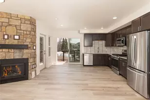 1044 Blue River Pkwy, Silverthorne, CO 80498 - Photo 10