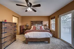 34 Fetlock, Florissant, CO 80816 - Photo 40