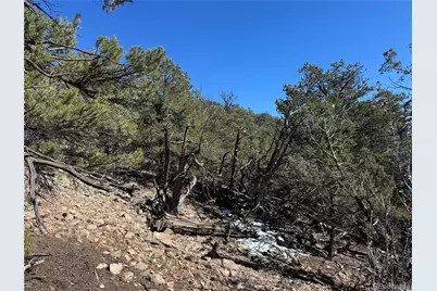 1214 Kevin Drive, Cotopaxi, CO 81223 - Photo 6