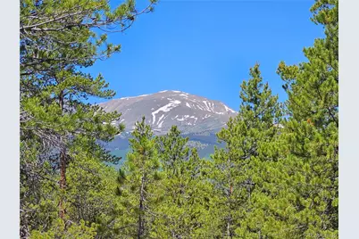 445 Mt Massive Drive, Twin Lakes, CO 81251 - Photo 1