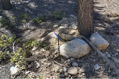 445 Mt Massive Drive, Twin Lakes, CO 81251 - Photo 18