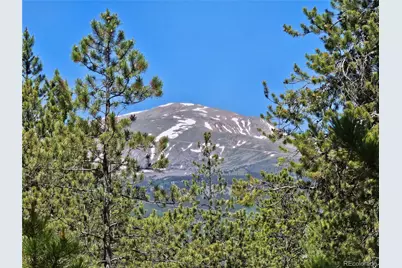 445 Mt Massive Drive, Twin Lakes, CO 81251 - Photo 6
