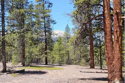 445 Mt Massive Drive, Twin Lakes, CO 81251 - Photo 4