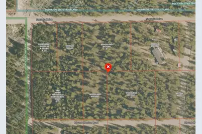 445 Mt Massive Drive, Twin Lakes, CO 81251 - Photo 14