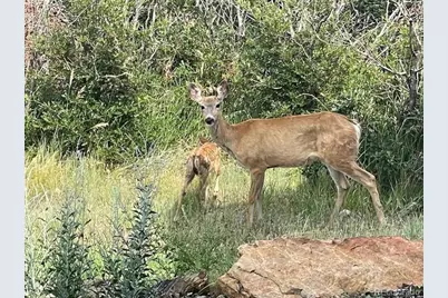 7186 Weaver Circle, Castle Rock, CO 80104 - Photo 6