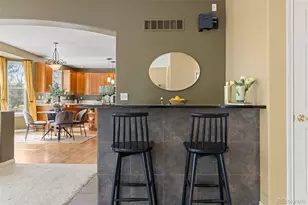 9515 S Bluebead Way, Parker, CO 80134 - Photo 18