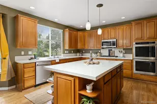 9515 S Bluebead Way, Parker, CO 80134 - Photo 12